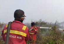 Hotspot Nasional Turun 139 Titik, Kemenhut Tetap Jaga Kesiapsiagaan Karhutla di Wilayah Prioritas