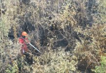 Hotspot Nasional Turun 789 Titik, Kemenhut Terus Perkuat Penanganan Karhutla