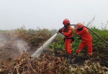 Hotspot Nasional 372 Titik, Kemenhut Perkuat Penanganan Lapangan dan Perlindungan TN Tanjung Puting