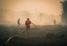 Karhutla Tanjung Puting, Menhut Raja Antoni Tingkatkan Water Bombing
