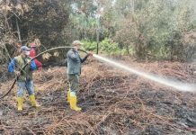 Kemenhut Gandeng Akademisi Perkuat Pengendalian Kebakaran Hutan di Areal Konsesi