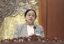 Bukan Cuma Padamkan Api, Puan Ingatkan Dampak Ekonomi Karhutla Bagi Pekerja Harian