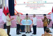 Disaksikan Presiden Prabowo, Satgas PKH Serahkan Uang Denda Rp13,2 T dan Lahan Hutan Sitaan