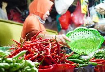 Dukung Program MBG, Bapanas Minta Perencanaan Pasokan Pangan Gunakan Data Terintegrasi